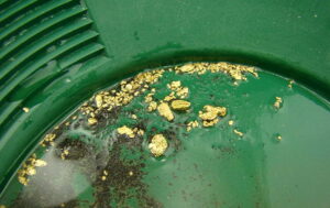 gold nuggets in a green gold pan